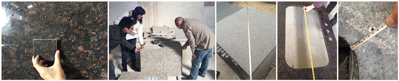 Azulejos y losas pulidos y encimera de granito marrón tostado