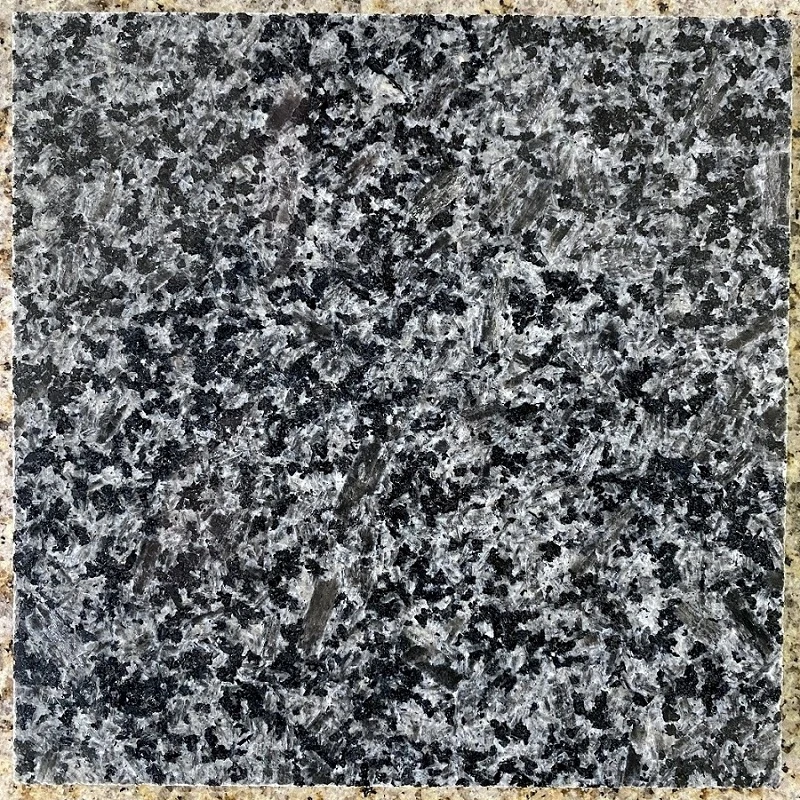 Black Ice Dapple Granite material