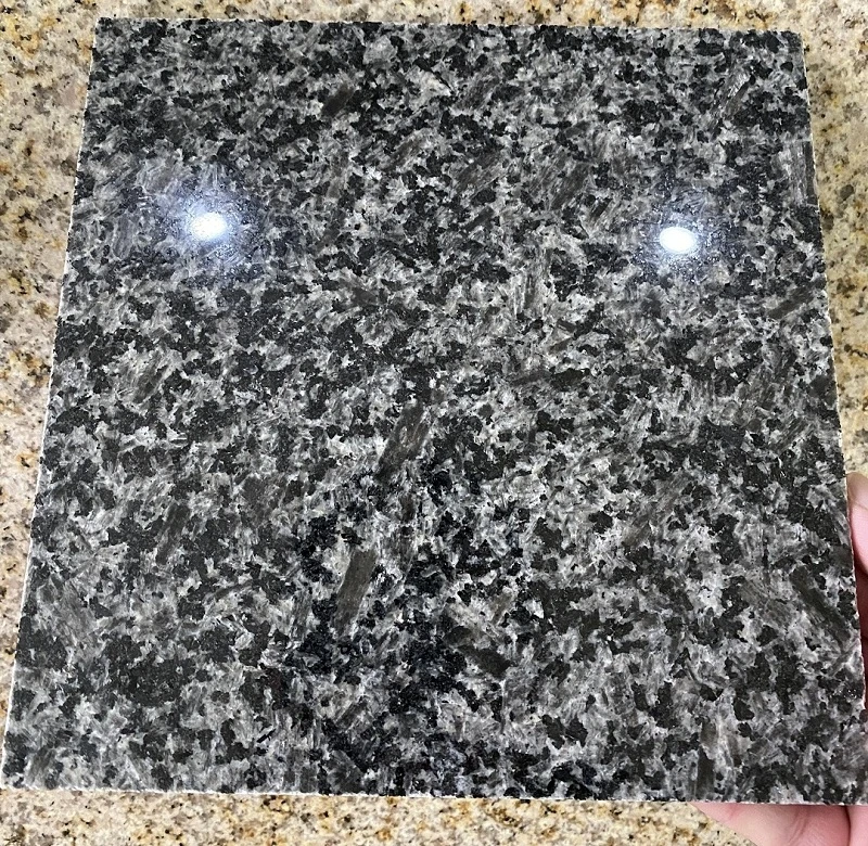 Black Ice Dapple Granite sample