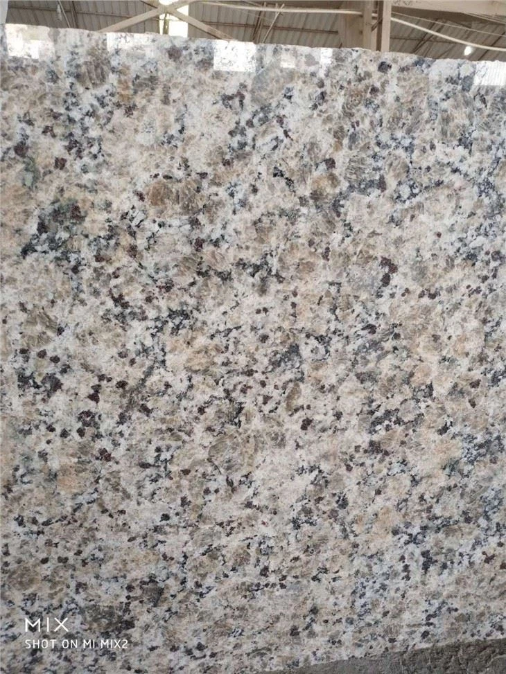 Yellow Butterfly Granite For Kitchen Countertop Tile Slabs